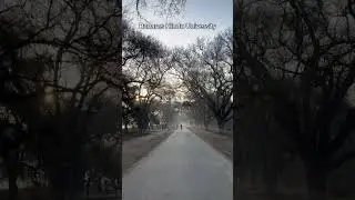 Banaras Hindu University status video 🥀❤️|| Cuet motivation 💫🔥|| #thedreamcollege #bhuworld #shorts