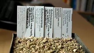 Label your plants