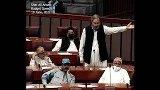 Budget Speech 2021-22 in National Assembly
