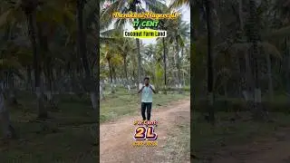 17C coconut farm land for sale near Parakkai 🌴 16ft road, near bus stop & houses. Best 📞6380139288