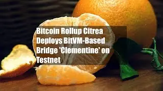Bitcoin Rollup Citrea Deploys BitVM-Based Bridge 'Clementine' on Testnet