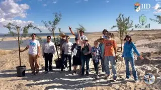 Salton Sea Tree for All