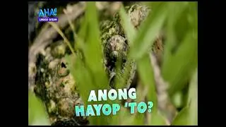 GMA: AHA! | October 20, 2024 Teaser (TBB Fanmade Version)