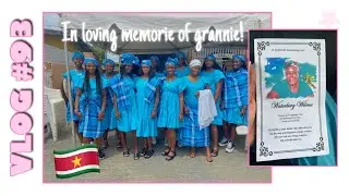 MET Z’N ALLEN IN SURINAME! - VLOG #93 - Joslyn Chin