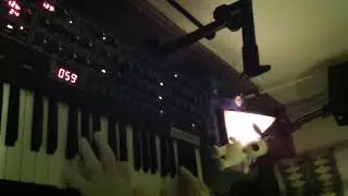 Prophet 6, Ferris Wheel vs Merry Go Round, Analog Synth 059