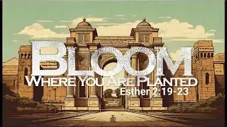 Bloom Where You Are Planted - Esther 2:19-23