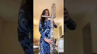 Contrabass Flute Chromatic Scale 🐘🎶 #shorts #flute