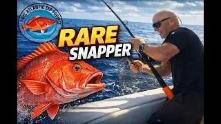 We Finally Got a Red Snapper Permit