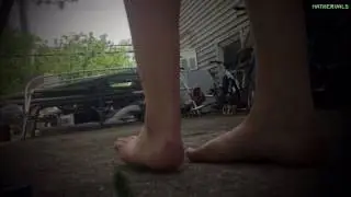 Giantess (A Bugs Perspective)