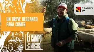 Un breve descanso para comer