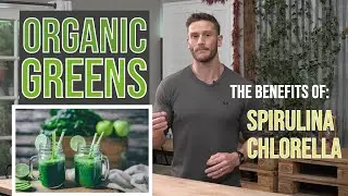 What Does Chlorophyll Do? The Benefits of Spirulina and Chlorella in Antler Farms Organic Greens