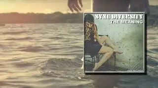 Sync Diversity feat. Danny Claire - The Meaning (Friso Schaap Uplifting Trance Mix)