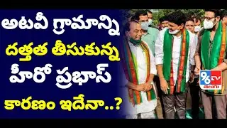 Hero Prabhas Adopted Khazipally Village - Prabhas About 1650 Acres Of Forest Land Adoption - Prabhas
