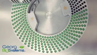 Екскурсія компанією Georg BioSystems