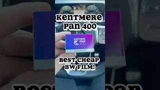 The best cheap BW Film! - Kentmere Pan 400 #35mmfilm #nikonf5 #blackandwhitefilm #nikon #film