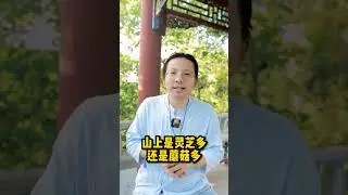 What Exactly Is Zhong Sheng Ji (Planting the Life Base)? #DaoistPractices #LifeExtension