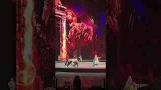 Chimelong show in circus 🎪 #цирк #шоу #circus #животные #китай #лошади