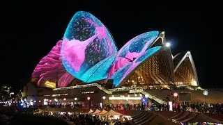 VIVID 2017 IN SYDNEY WITH PRIVATE GUIDES www.sydneytourguide.com.au