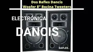 PARLANTES DE 8 PULGADAS. BAFLES ELECTR&Oacute;NICA DANCIS