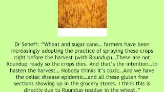 The Anxiety Summit: Trudy Scott & Dr. Stephanie Seneff on glyphosate