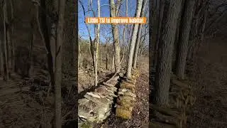 TSI for this little section #wildlifehabitat #Timberstandimprovment #habitatconservation #wildlife