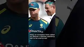 David Warner Asks Australian Board to Overturn His Captaincy Ban