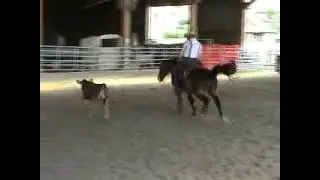 Working Cowhorse Clinic