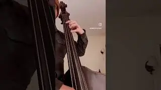 Simple bass vibe.. #simple #bass #vibe