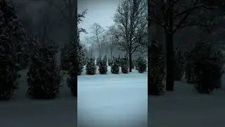 Blizzard 2026 Long Island NY