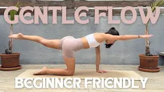 20 Min Gentle Full Body Workout for Low Energy Days (No Jumping) | Beginner Friendly Workout