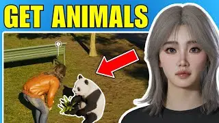 How To Get Cats, Dogs & Other Animals In The City On InZOI