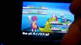 Shiny Blitzle appears on Black after 21,471 REs! (42,943 Total REs)