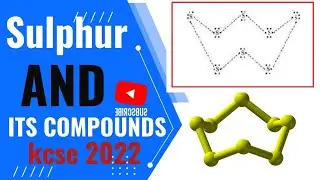Sulphur and its Compounds - K. C. S. E 2022 Chemistry Paper 2