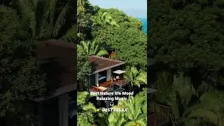 Best Music Sound Relaxing 2021