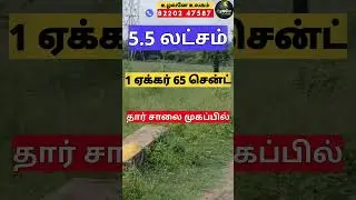 சென்ட் 5500 | FarmLand for Sale in Thoothukudi | Low budget | On Road விவசாய நிலம்