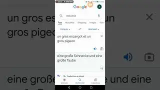 j'ai voulu marquer un gros escargot et un gros pigeon en allemand mais je m'attendais pas &agrave; &ccedil;a