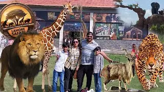Lahore Safari Park Reality { Visitors Reviews } with Lion | Markhor | Flamingo | lahore safari park