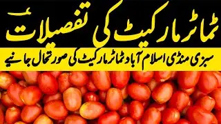Tomato Market Islamabad | 31 January 2026 | Tomato Update | Tomato Prices Today 