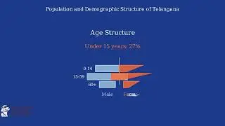Understanding the Demographic Profile of Telangana State