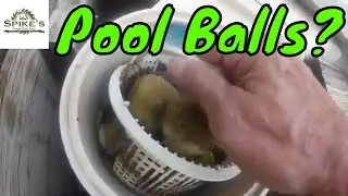 Have you tried Pool Balls in you swimming Pool? They work great! Use the 3B method & Filter BALLS!
