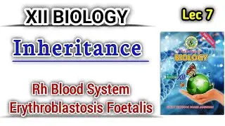 Rh Blood System and Erythroblastosis Foetalis lec 7|| inheritance class 12