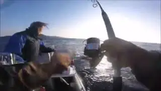 Pêche Bonite en Méditérranée