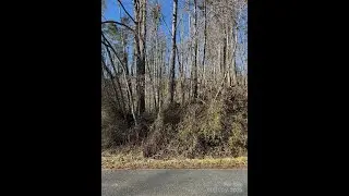 Lots And Land for sale - TBD George McKinney Circle, Spruce Pine, NC 28777