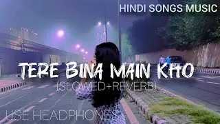Tere Bina Main Kho – New Hindi Lo-fi Song | Slowed Reverb Version | Hindi songs Audio