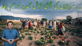 Pakistan Weather: Winter Ends Spring Begins in Southern Pakistan