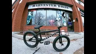 2019 Cult Juvenile 18