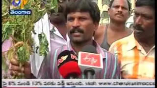 ADILABAD FARMERS DEMAND FOR INPUT SUBSIDY TS - జైకిసాన్ - 21st September 2015