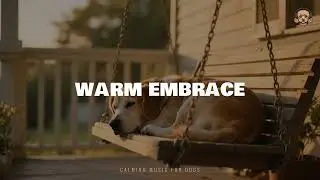 Warm Embrace &ndash; Relaxation Instrumental for Dogs | Stress Relief & Calm