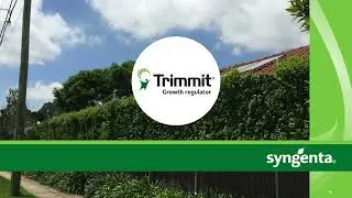 How to easily and effectively apply TRIMMIT&reg; Growth Regulator to hedges