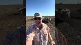 Мне они очень нравятся!! @superiorsteelsales